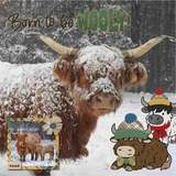 Highland Herd Word Art