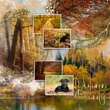 Artistic License Autumn Wreaths