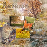 Artistic License Autumn Wreaths