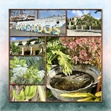 Starting Grids Part 1