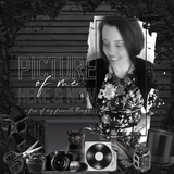 Curated Colors Black Elements