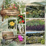 The Painted Garden Bundle