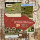 Highland Herd Bundle