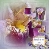 Atelier Art - Iconic Iris Bundle