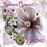 PatternMania Watercolor Autumn