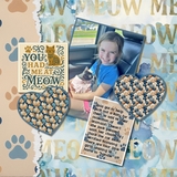 Memory Magnets - It's a Cat's Life