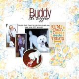 Memory Magnets - It's a Dog's Life