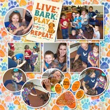 Memory Magnets - It's a Dog's Life