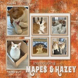 Grunged Color Tones Bundle 1