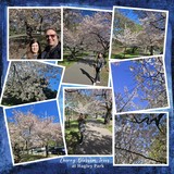 Grunged Color Tones Bundle 1