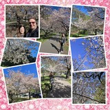 Grunged Color Tones Bundle 1