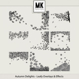 Autumn Delights Collection