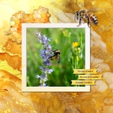 Fluid Art Jewel Papers Bundle