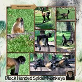 Starting Grids Part 1