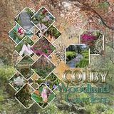 Creative Process Part 3 Supersaver Bundle