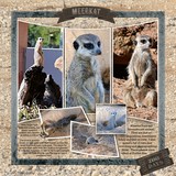 Creative Process Part 3 Supersaver Bundle