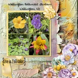 12 Chapters- Chapter Ten Bundle