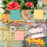 12 Chapters- Chapter Ten Bundle