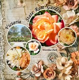 Clustered Border Papers Set 3