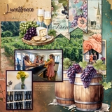 Wine Country Wonders Bundle