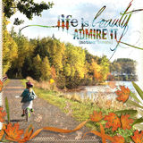 Autumn Fields Collection