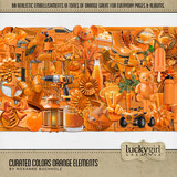 Curated Colors Orange Bundle