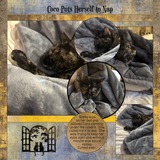 Grunged Color Tones Bundle 2