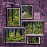 Grunged Color Tones Bundle 2