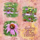 Grunged Color Tones Bundle 2