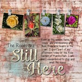 Grunged Color Tones Bundle 2