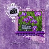 Grunged Color Tones Bundle 2