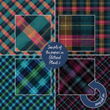 Glittered Plaids 2