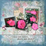 Overlay & Paper Fusion Set 1