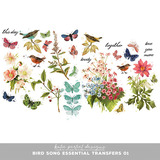 Bird Song Scrapbooking Bundle 01