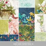 Bird Song Scrapbooking Bundle 01