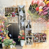 Artistic License Musings - Part 8