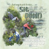 Distressed EZ Masks - Wood Grain 1