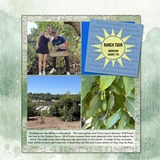 Distressed EZ Masks - Wood Grain 1