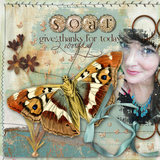 Autumn Fields Collection