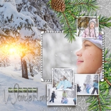 Silver Spruce Title Trio