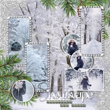 Silver Spruce Title Trio