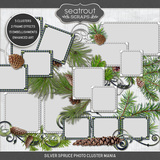 Silver Spruce Photo Cluster Mania