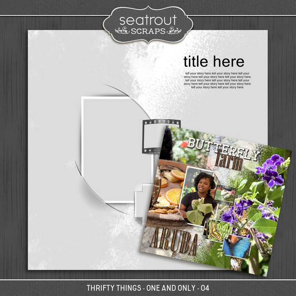 Thrifty Things - One and Only - 04 Digital Art - Digital Scrapbooking Kits