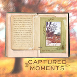 Into The Woods Collection