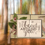 Into The Woods Collection