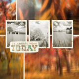 Into The Woods Collection