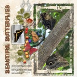 ClusterMania - Autumn Wonders Beyond the Border