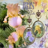 Atelier Art - Iconic Iris Bundle