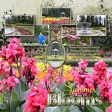 Creative Process Part 3 Supersaver Bundle