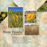 Whispers of Vintage Paper Collection